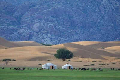 Semi-Gobi and Kharkhorum overnight private trip