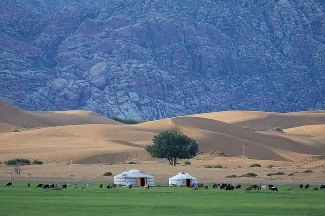 Semi-Gobi and Kharkhorum overnight private trip - Urikhan gives you a useful road break