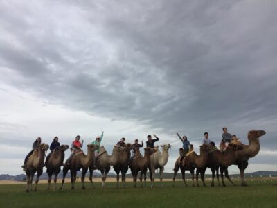 Terelj ,Khar khorum ,Horse ride , Camel ride , Monastery