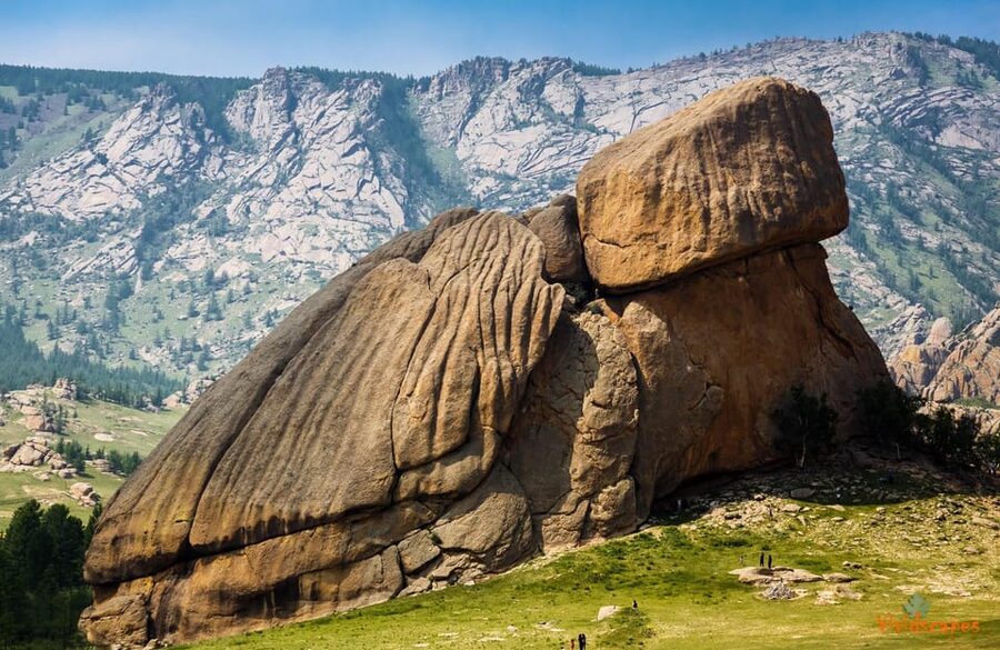 Terelj ,Khar khorum ,Horse ride , Camel ride , Monastery - Meals, water, and ger nights