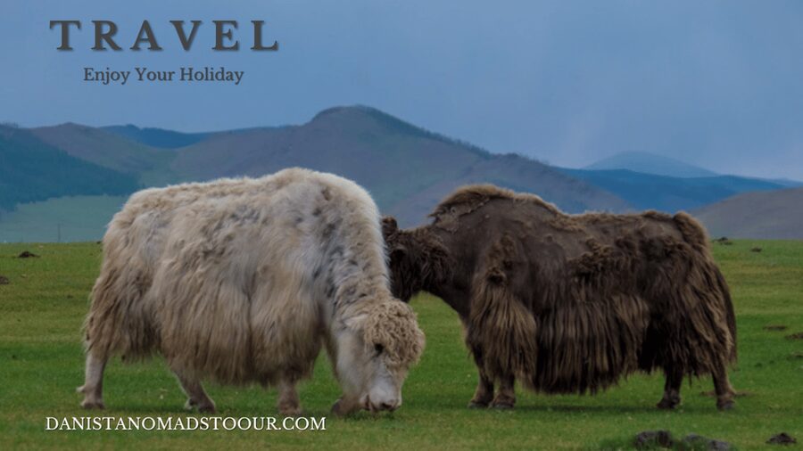 Terelj ,Khar khorum ,Horse ride , Camel ride , Monastery - Who should book this tour