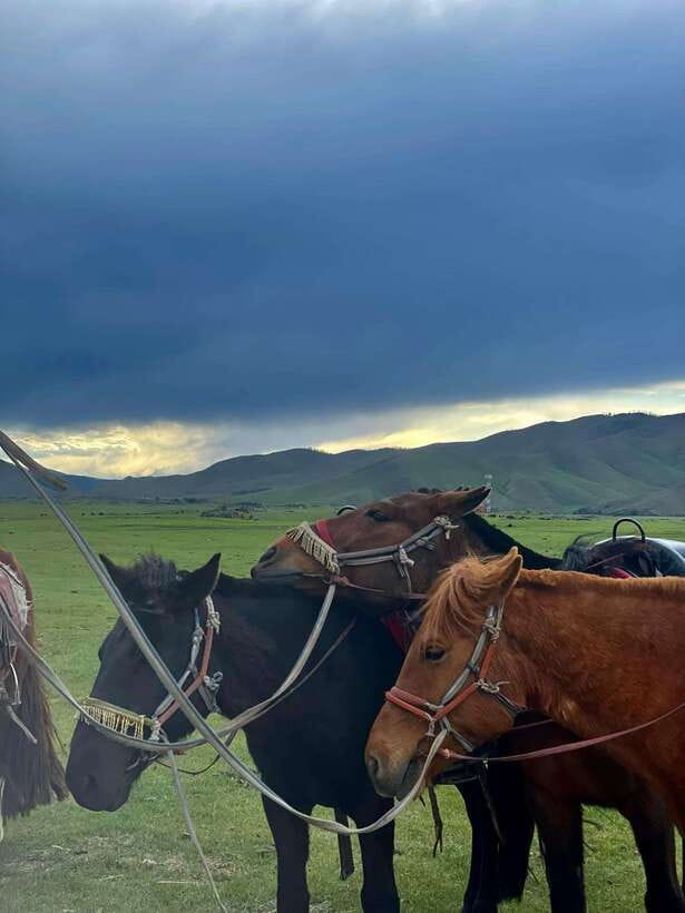 Terelj national park transport /Best price tour - Zaisan Hill brings Ulaanbaatar into view