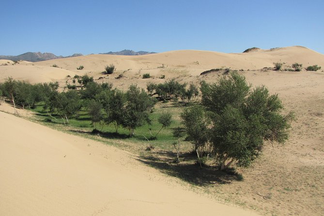 The Best of Central Mongolia Tour in 5 Days - Kharkhorin connects the road trip to Mongolia’s past