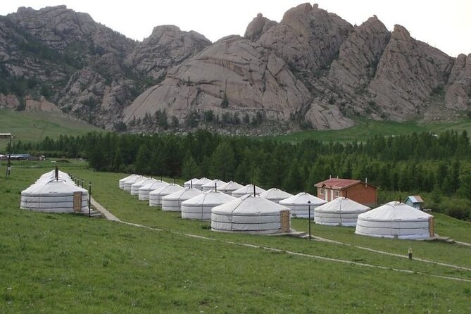 Transfer service to Terelj national park - What the feedback tells me about service quality