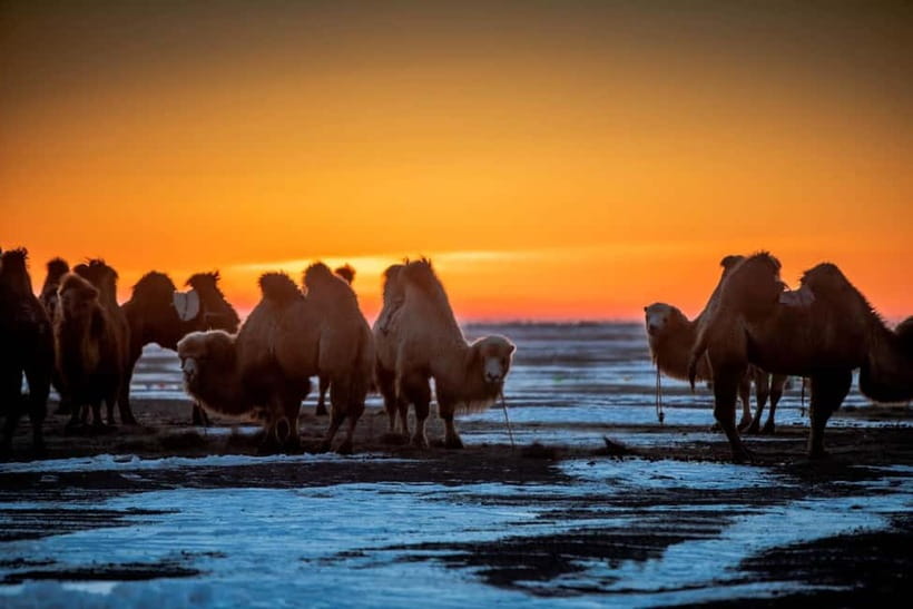 Ulaanbaatar: 4-Day Central Mongolia Winter Tour - Why this winter route works