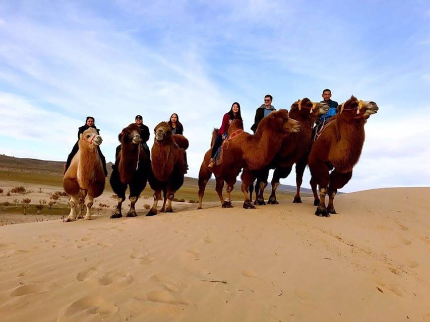 Ulaanbaatar: Semi-Gobi Desert Day Trip & Camel Ride - Who should book this experience