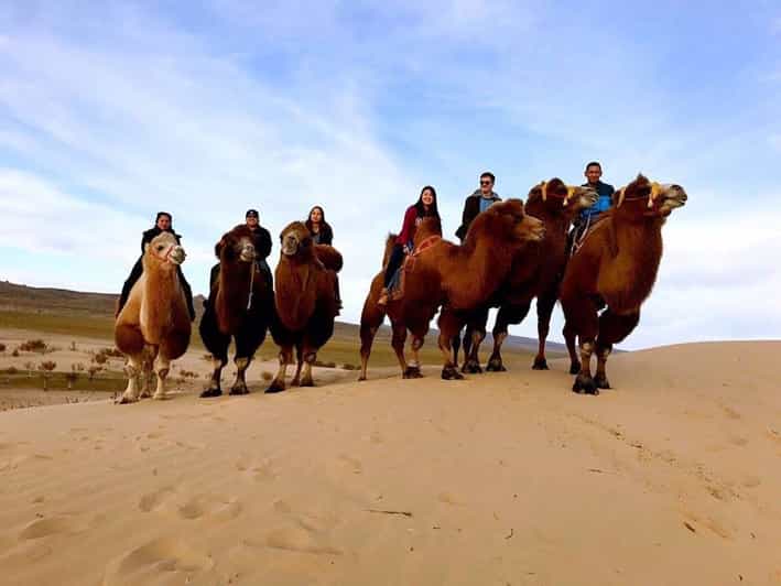 Ulaanbaatar: Semi-Gobi Desert Day Trip & Camel Ride - Why Elsen Tasarkhai makes sense for a short Mongolia trip