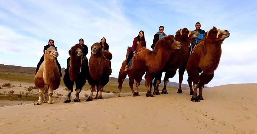 Ulaanbaatar: Semi-Gobi Desert Day Trip & Camel Ride - The return drive and the real meaning of an 11-hour day